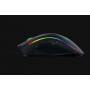 RAZER MOUSE MAMBA ELITE, RZ01-02560100-R3M1, ExtraGamer